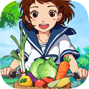 美联储年终大戏即将上演，一文解密四大看点